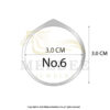 Silver925 case No6