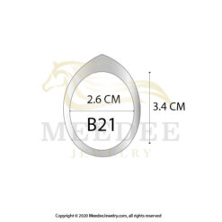 Silver925 case B21