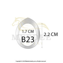 Silver925 case B23