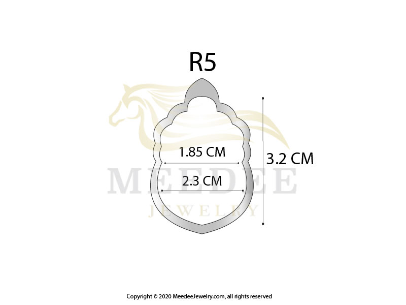 Silver925_R5-01 Silver case R5