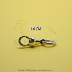 Silver925 spring normal detail no1