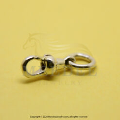 silver925 spring normal side no1